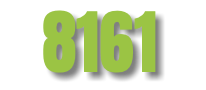8161